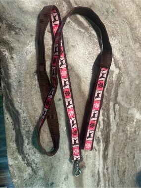 The Black dog pink and brown leash